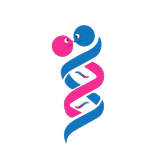 DNA 浪漫