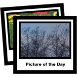 picofday