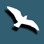 Genera burung