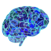 Brain APK