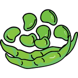 Phaseoleae