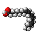Fatty acids