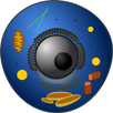 Cell type APK