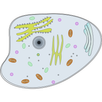 Biological process APK