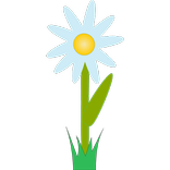 Canteiros de flores