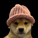 Dogwifhat dVPN