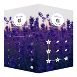 AppLock Theme Lavender