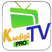 Kurdish TV Pro APK