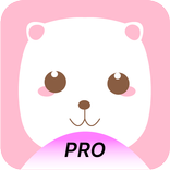Dostii Pro: Private Audiocalls