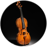 Violin - String Music Instrume