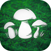Real Mushroom Hunting Simulato APK
