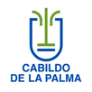 Cabildo de La Palma Videoconfe APK