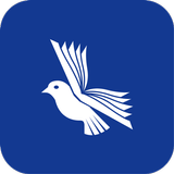 Etimolog APK