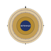 myPerformance EY APK