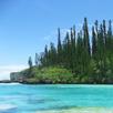 Isle of Pines APK