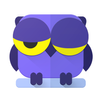 Night Owl -Dimmer & Night Mode APK
