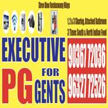 Executive PG for Gents