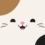 Squishmallows Match