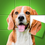 ”Jigsaw Tiles - Puzzle Games