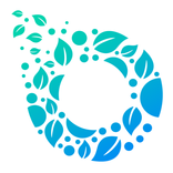 EcoWheel Rider