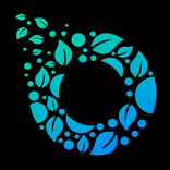 Ecowheel Driver