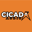 CA DSP PRO icon