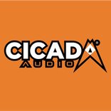 CA DSP PRO