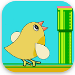 Jet Bird