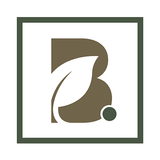 Unique Barrinha Residence APK