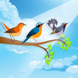 ”Sort Birds - Puzzle Color 3D