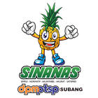 SINANAS icon