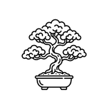 Zen Bonsai Garden