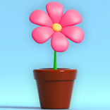 Bloom Jam