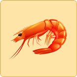 Karides Tarifleri: Yemek App