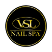 VSL Client 图标