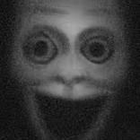 Entity 666 Chase