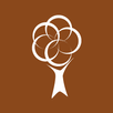 The Timberland APK