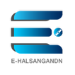 e-Halsangandn icon