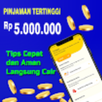 Pinjol OJK Cepat Cair Hints APK