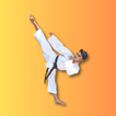 Shotokan Karate WKF icon