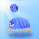 Bug Roll