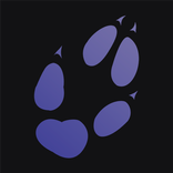 Furry Latino