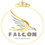 ”Falcon pro player