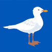 BHAseagulls APK