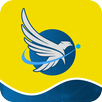 Fenix TV APK