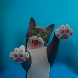 Funny Cat 3D