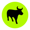 Flash Life APK