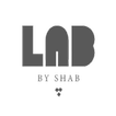 Lab by Shab icon