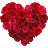WASticker - Liebe Blumen