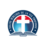 VieProfonde France